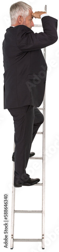 Mature businessman standing on ladder