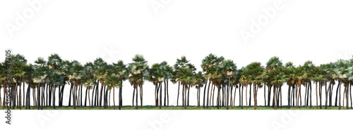 Panorama view of a variety of forests on a transparent background