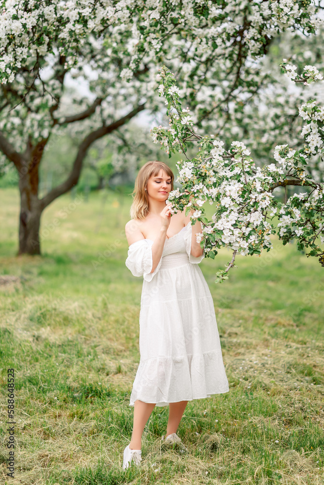 beautiful woman walks in the spring garden. A girl in a white dress in blooming apple trees beautiful woman walks in the spring garden. A girl in a white dress in blooming apple trees