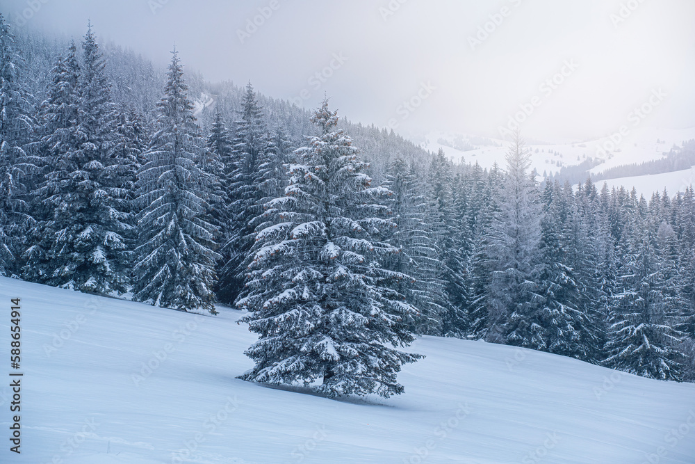 Naklejka premium Mountain hill during freezing winter.High quality photo