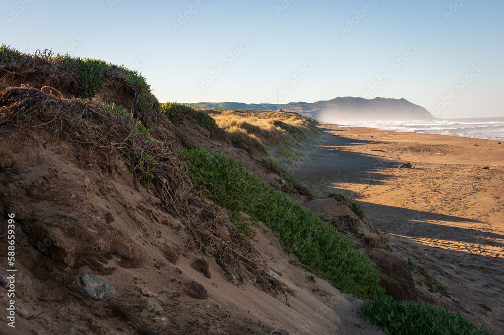 The Beach at Point Reyes National Seashore