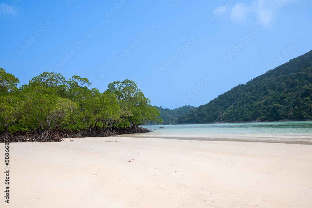 View of Mu Ko Surin Nation Park,  Beautiful white sand beach, and popular coral reef for snorkeling in Andaman, Thailand.