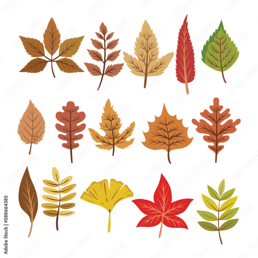 Set of autumn leaves element vector collection. Autumn leaves flat design illustration.