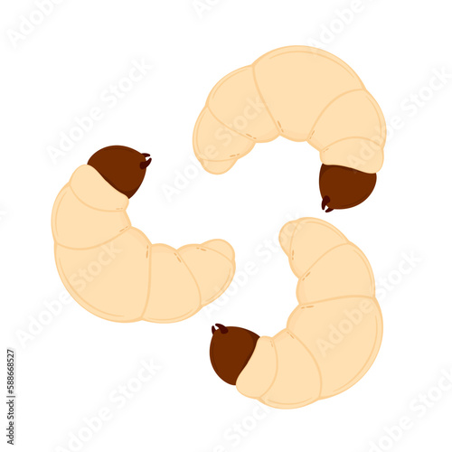 Edible worm vector. Grub worm vector. Grub worm on white background. symbol.