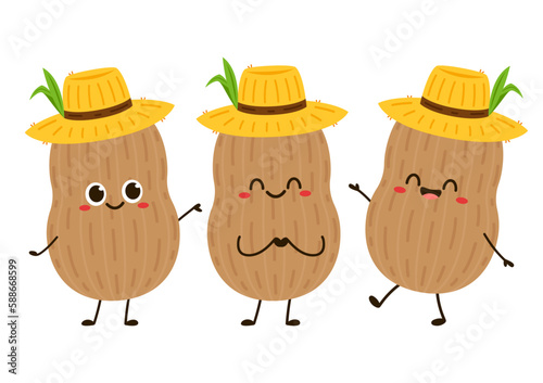 Peanut cartoon vector. Peanut on white background.