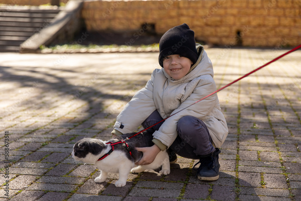 Petting a cat. Little boy with a cat in a city park outdoors at daytime. Domestic cat in a city park Petting a cat. Little boy with a cat in a city park outdoors at daytime. Domestic cat in a city park