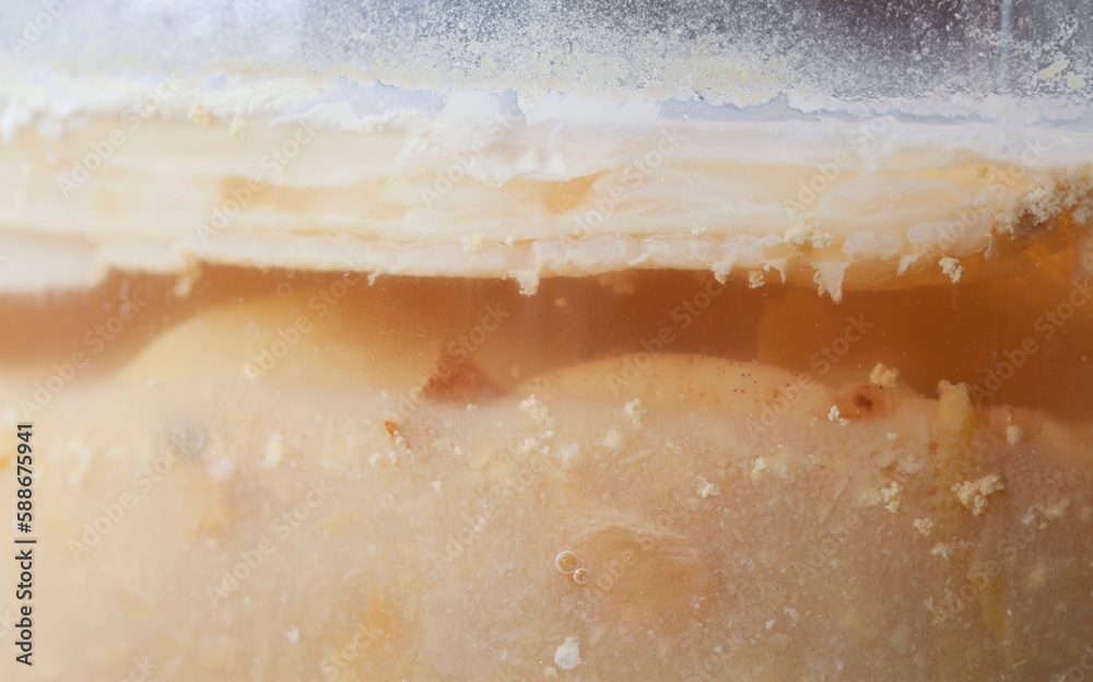 Apple Cider Vinegar an authentic process of fermentation of apples by