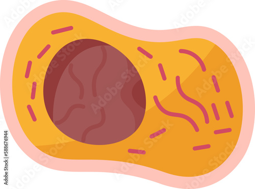 meteorite  icon