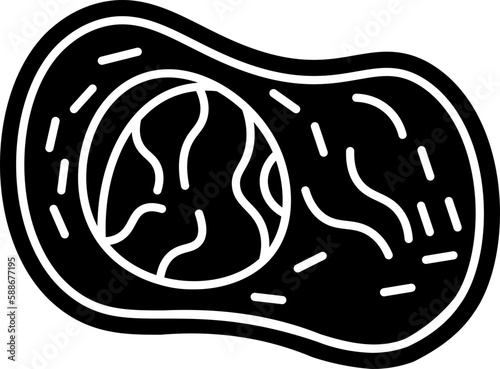 meteorite  icon