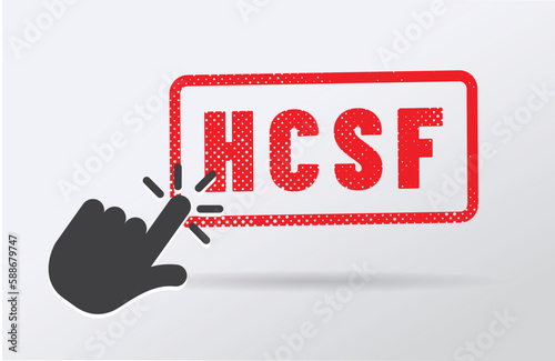 HCSF - Haut Conseil de stabilité financière en france