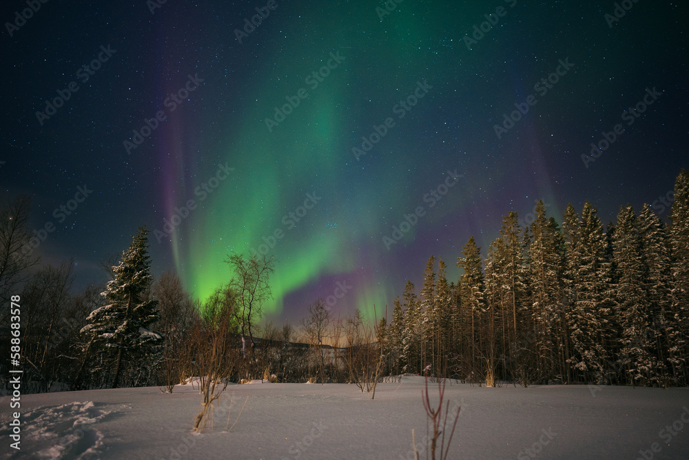 A beautiful image of the massive multicolored green vibrant Aurora Borealis, Aurora Polaris, also known as the Northern Lights in the night sky over the winter landscapes of Lapland, Norway.