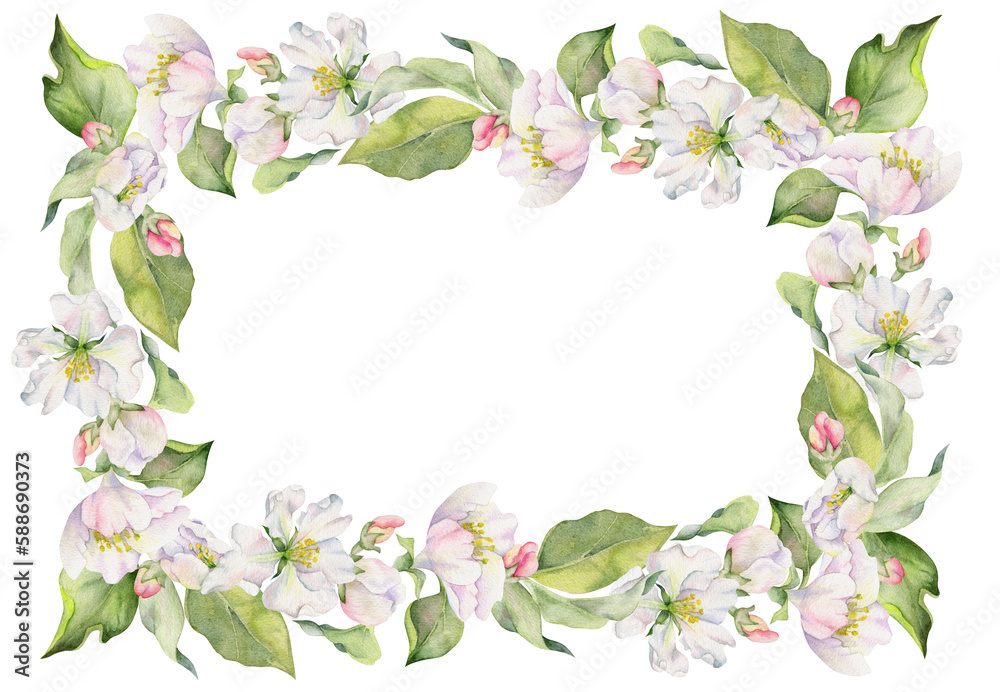 Hand drawn watercolor apple blossom, white and pink flowers with green leaves. Square frame composition. Isolated object on white background. Design for wall art, wedding, print, fabric, cover, card.