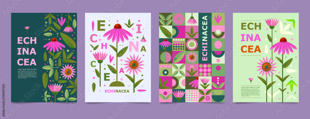 Set poster, brochure with Echinacea drawing. Isolated flower and leaves. Cards geometry for print design vector banner - obrazy, fototapety, plakaty 