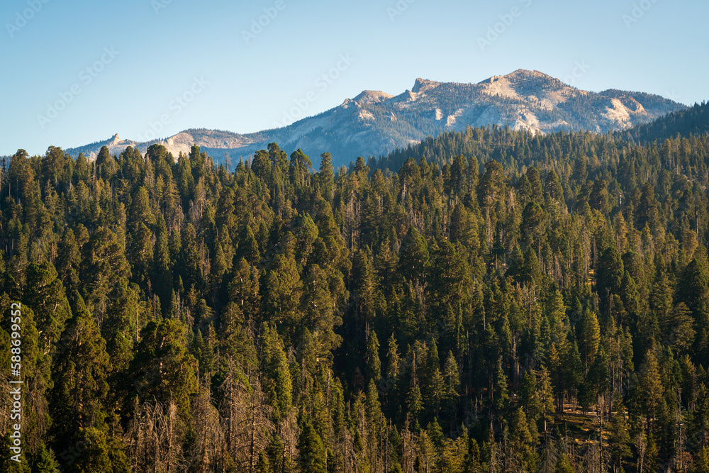 Moro Rock at Sequoia National Park Moro Rock at Sequoia National Park
