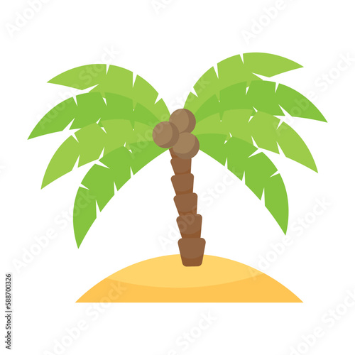 Palm tree with coconuts on the island