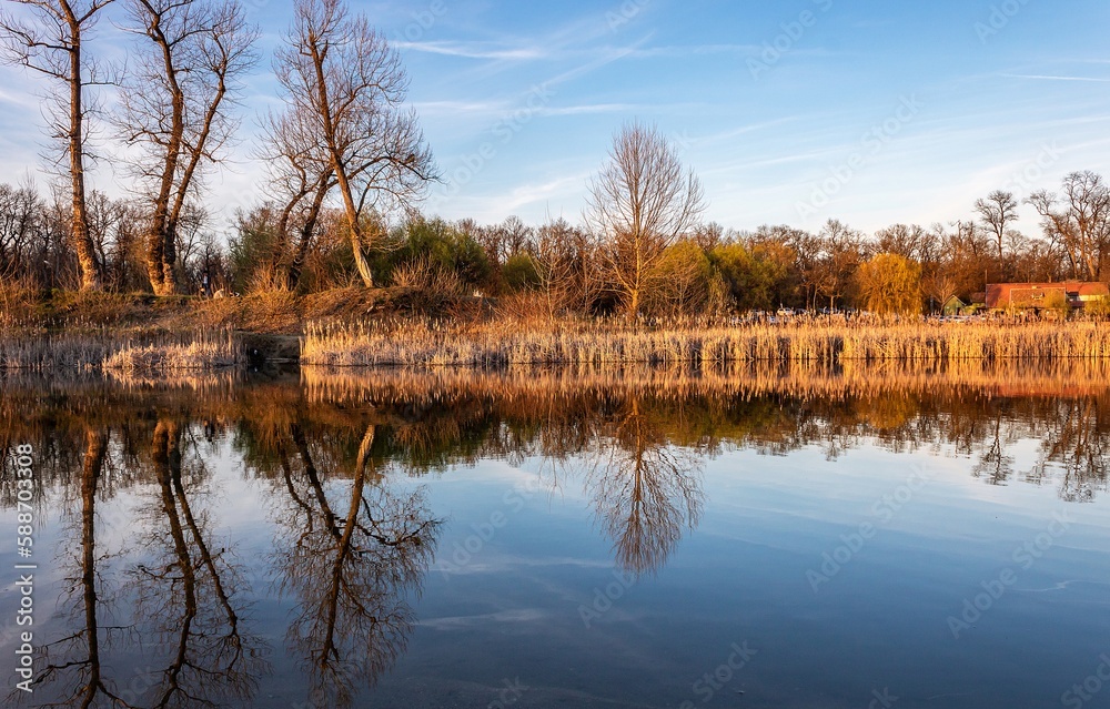 Obraz premium Reflections at the lake in the natural park