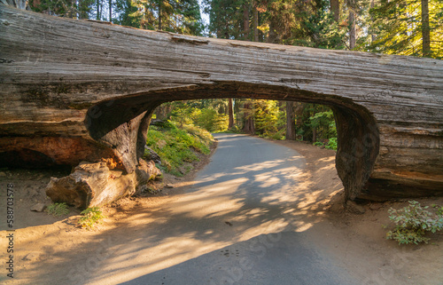 Car tunnel at Sequoia National Park