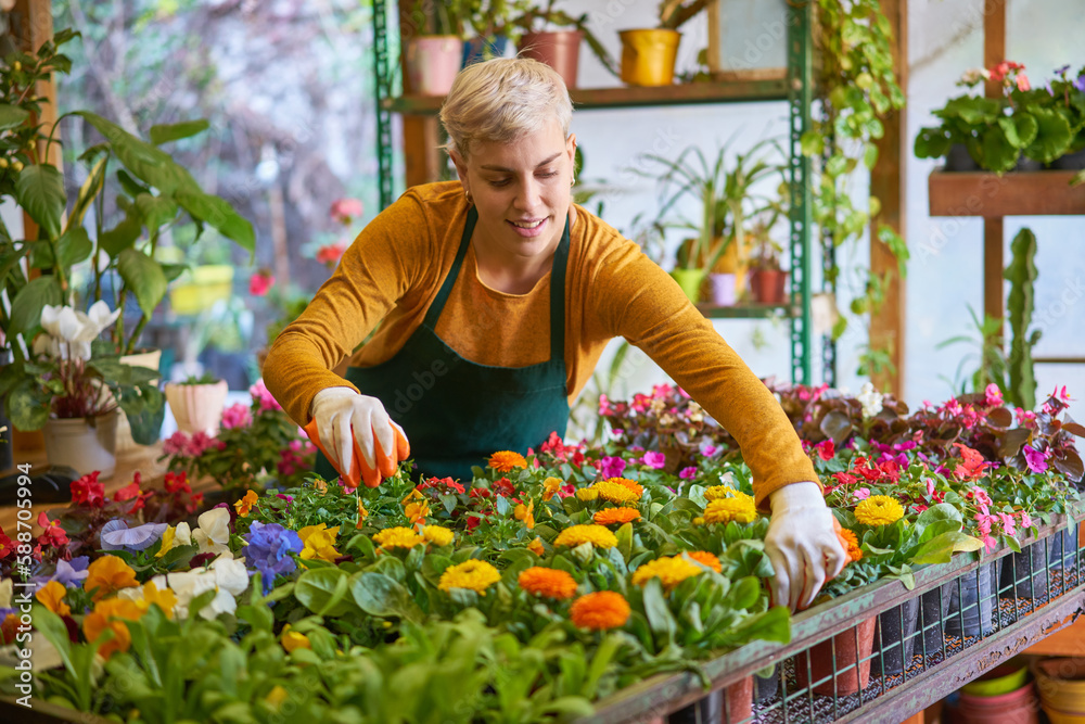 Gärtnerin bei der Pflege von Pflanzen Sortiment Stock Photo Adobe Stock