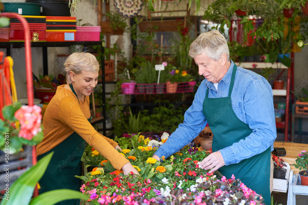 Gärtner und junge Frau als Azubi bei der Pflanzenpflege Stock Photo