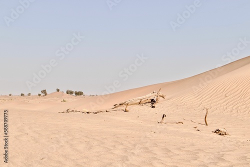 Sand dunes in a desert with a blue skyline in the background