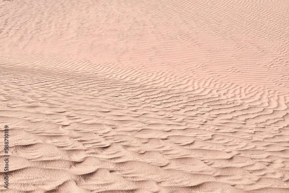Daytime view of the sand dunes in a desert Daytime view of the sand dunes in a desert