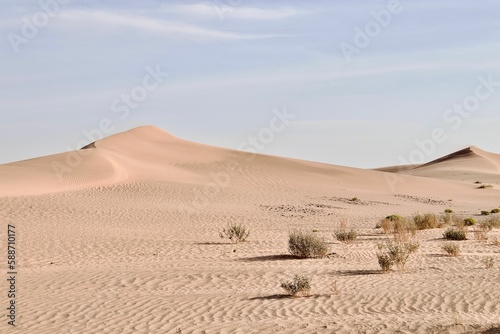 Beautiful barren sandy dune