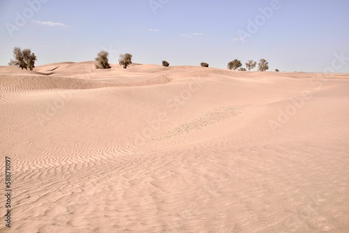 Fototapeta Naklejka Na Ścianę i Meble -  Daytime view of the sand dunes in a desert