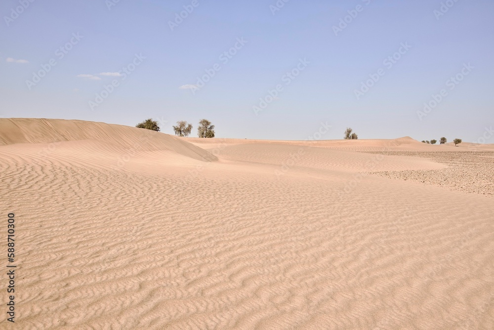 Fototapeta premium Daytime view of sand dunes in a desert