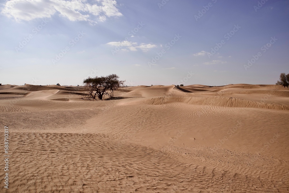 Daytime view of sand dunes in a desert