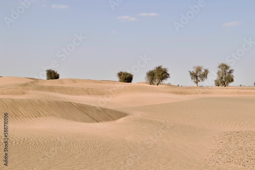 Fototapeta Naklejka Na Ścianę i Meble -  Daytime view of sand dunes in a desert