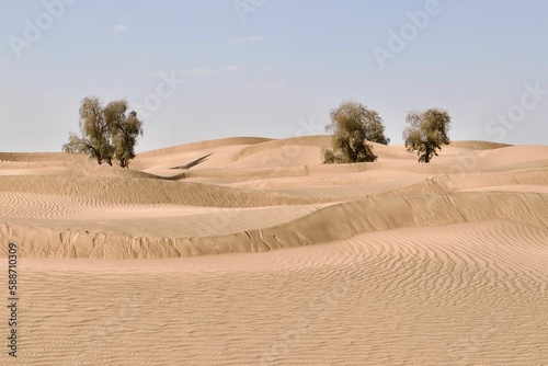 Fototapeta Naklejka Na Ścianę i Meble -  Daytime view of sand dunes in a desert