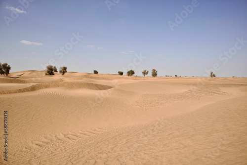 Daytime view of sand dunes in a desert