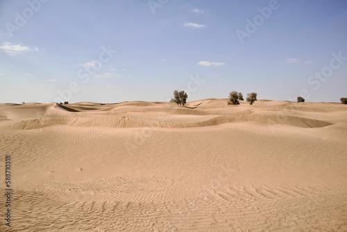 Fototapeta Daytime view of sand dunes in a desert