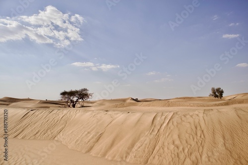 Fototapeta Naklejka Na Ścianę i Meble -  Daytime view of sand dunes in a desert