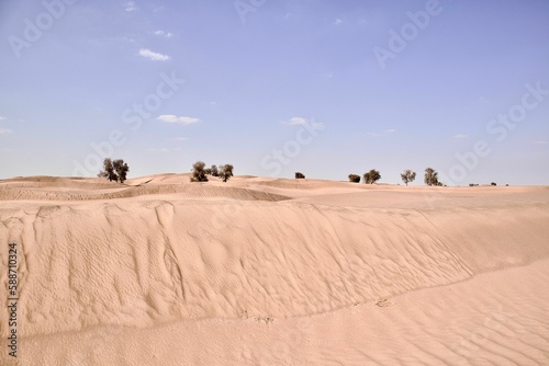 Fototapeta Naklejka Na Ścianę i Meble -  Daytime view of sand dunes in a desert