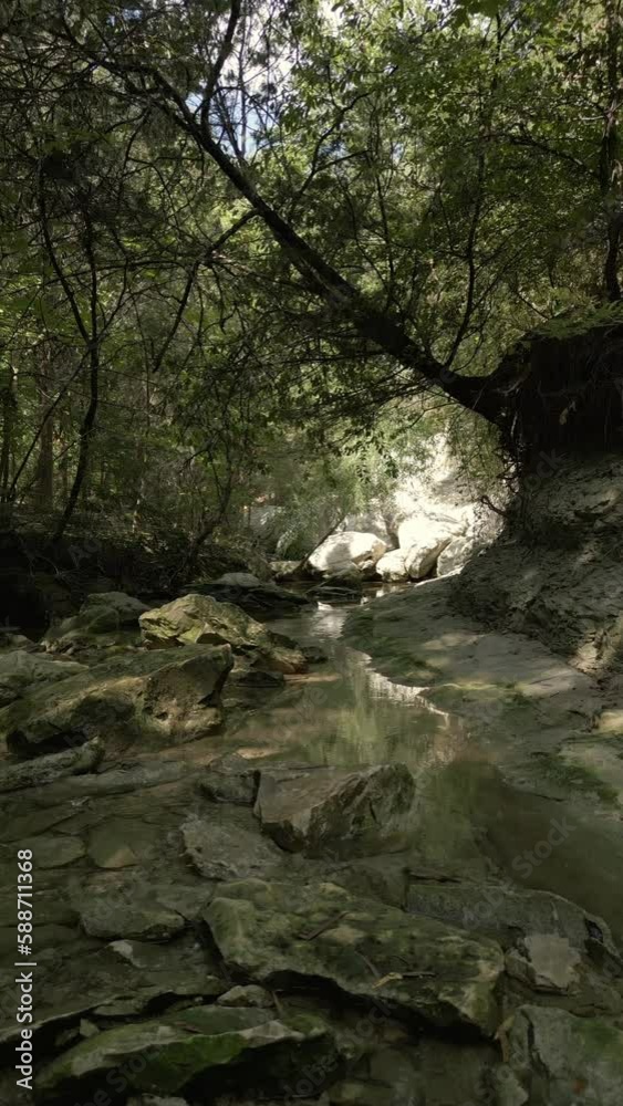 Vertical shot of woods in Lost Creek in Allen TX with river, rocks, and light falling from trees Vertical shot of woods in Lost Creek in Allen TX with river, rocks, and light falling from trees