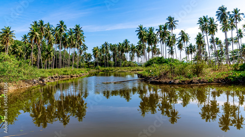 lake in the forest