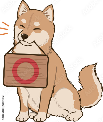 丸マークを持つ柴犬（茶柴）