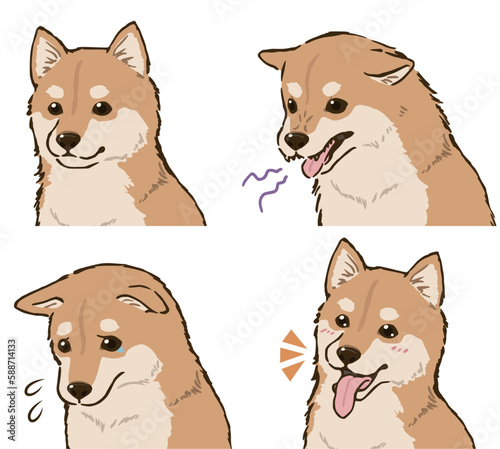 柴犬の喜怒哀楽（茶柴）