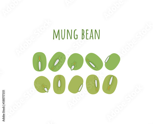 Mung beans. Green, yellow-green peas of Asian beans and an inscription isolated on a white background. Leguminous crop from India. Vector illustration.