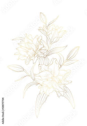 Gold lily flowers bouquet isolated on white background. Detailed lili peony flowers sketch outline drawing. 