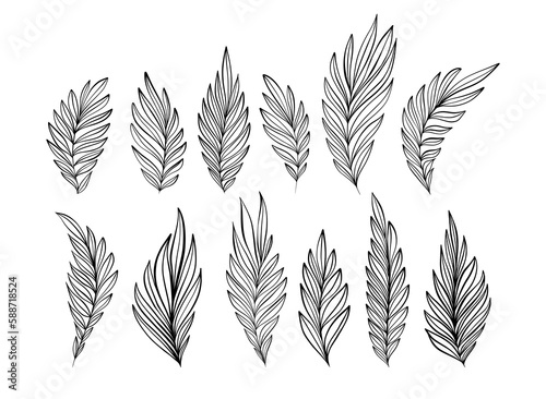 Black Flowing Leaves Modern Elegant Vector Outline Collection Isolated on White Background