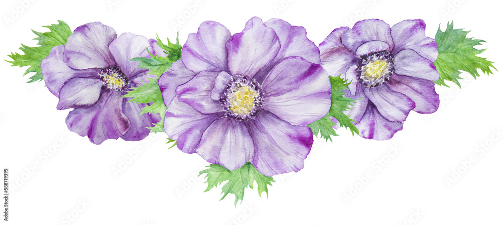 anemone, flower, isolated, bouquet, purple, nature, beauty, valentine, bloom, petal, floral, beautiful, romance, flowers, gift, blossom, leaf, green, romantic, plant, watercolor, botanical, hand drawn