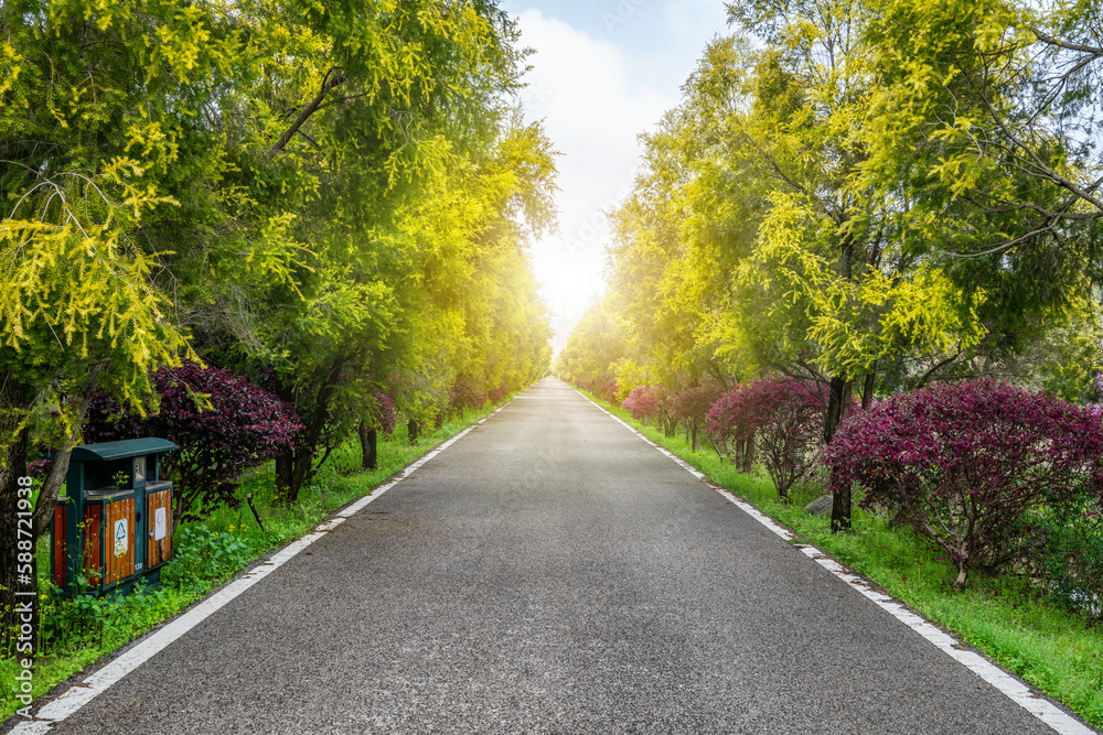 Obraz premium spring outing road green belt background material