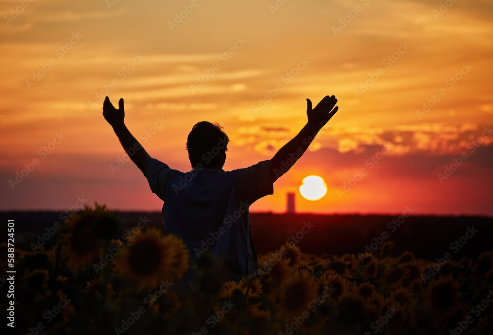 farmer standing in a sunflower field