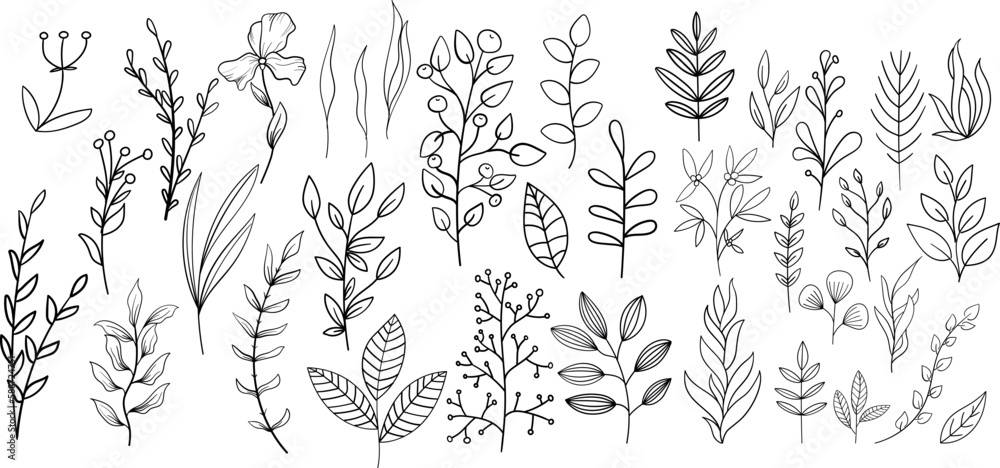 Fototapeta premium Plant brunches doodle illustration including different tree leaves. Hand drawn cute line art of forest flora - eucalyptus, fern, berries, blueberries.