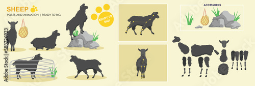 Black Sheep, lamb, Farm animals, ready to rig vector for animation, collection poses and angles, farm animal cartoons.