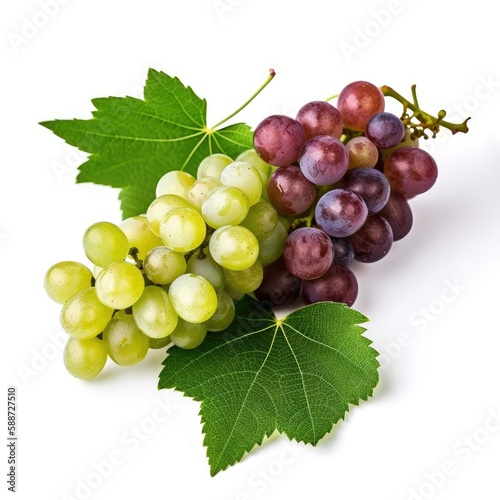Fresh bunch of dark and white grapes with green leaves isolated with a white background Generative AI Illustration