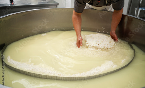 Cheese maker who separating curd and whey in a large stainless steel tanks. Cheese making concept.