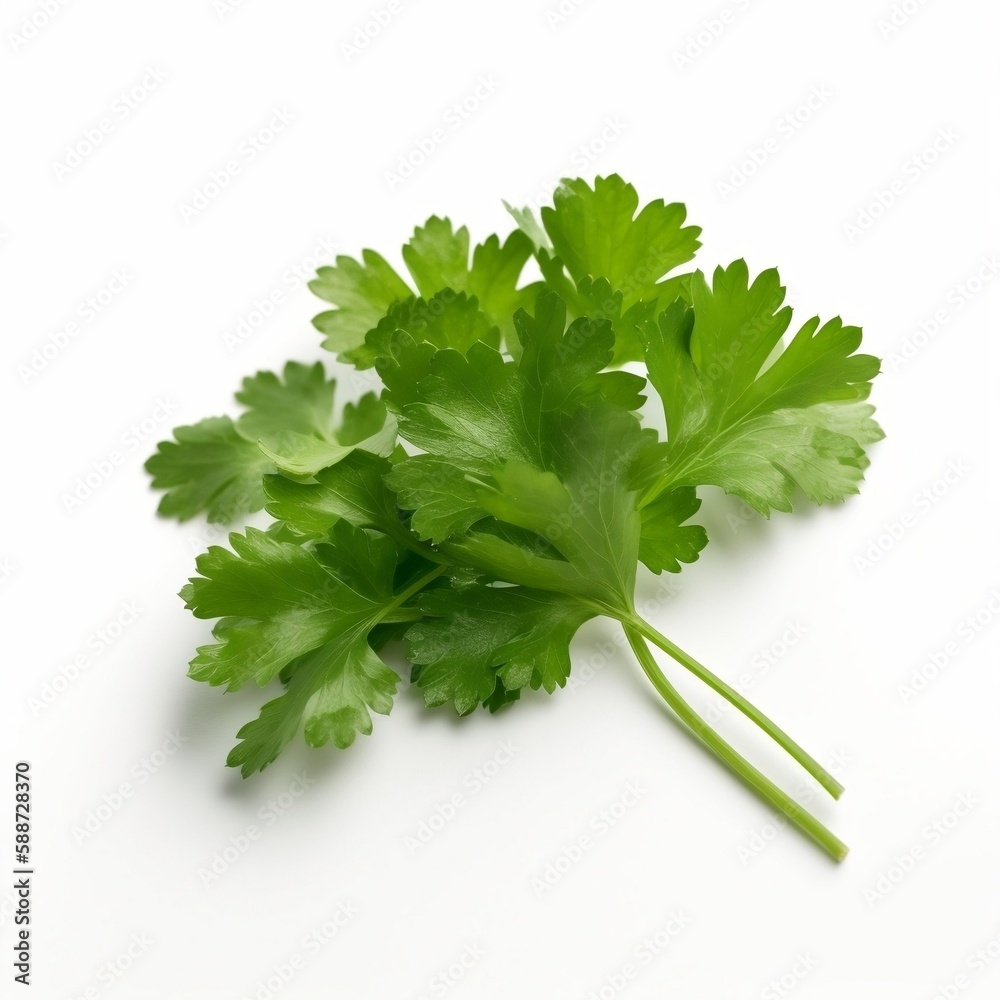 bunch of parsley